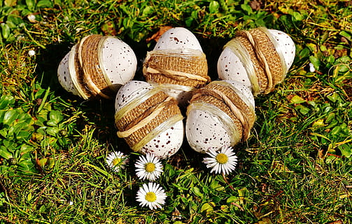 five, white, easter eggs, ground, easter, egg, meadow, spring, happy easter, flower, day, no people, outdoors, nature, close-up, fragility, flower head, plant, food, freshness, high angle view, flowering plant, food and drink, grass, still life, green color, field, land, vulnerability, beauty in nature, 5K, CC0, public domain, royalty free