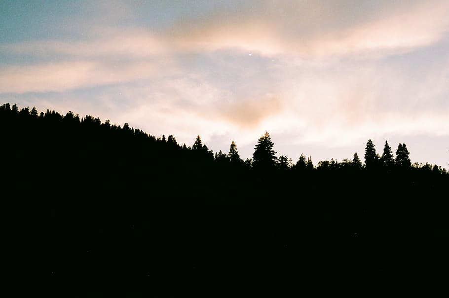 foto de la silueta, arbres, cel, silueta, bosc, durant el dia, posta de sol, núvols, ombres, arbre, naturalesa, núvol - cel, paisatge, pi, escenics, bellesa a la natura, planta, tranquil·litat, escena tranquil·la, escenics - natura, cap gent, medi ambient, escena no urbana, terra, idíl·lic, bosc de pi, arbre de coníferes, 2K