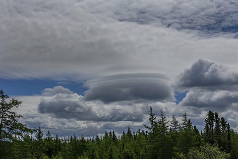 moln, himmel, gråa moln, molnig, stackmoln, molnig himmel, landskap, moln - himmel, träd, växt, skönhet i naturen, scenics - natur, natur, skog, inget folk, miljö, lugn, dag, landa, utomhus, tillväxt, lugn plats, storm, icke-urbana scenen, berg, kraft i naturen, tall, barrträd, olycksbådande, tallskog, 5K, CC0, offentligt domän, royaltyfria