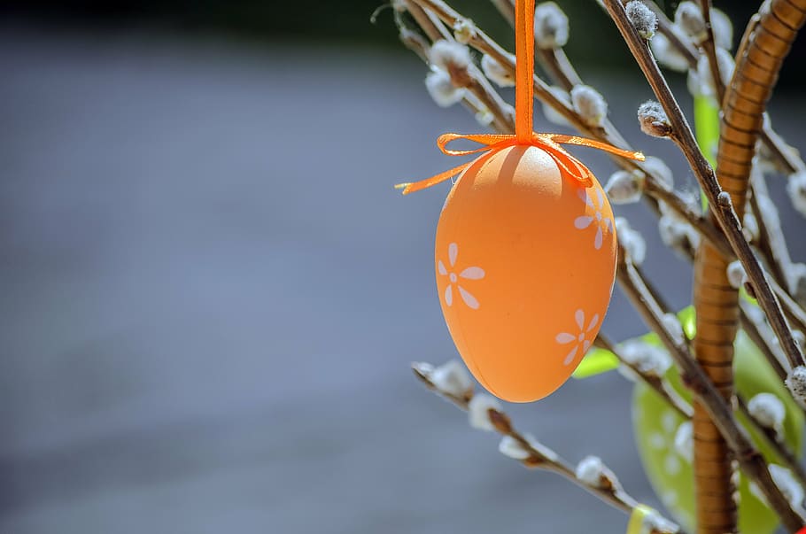 decoració marró penjant, ou, Pasqua, Arts i Oficis, ous de pasqua pintats a mà, primavera, ornaments, ous de Pasqua, pintura, color, conill, decoració, naturalesa, menjar, menjar i beguda, primer pla, centrar-se en primer pla, planta, fruita, cap gent, alimentació saludable, creixement, frescor, dia, caqui, color taronja, a l'aire lliure, vermell, benestar, full, enfocament selectiu, sol objecte, madur, 4K