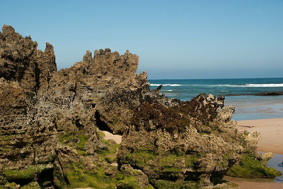 oceà, platja, marea, roques, erosió, algues, mar, línia de costa, naturalesa, penya-segat, rock - object, aigua, cel, terra, escenics - natura, rock, bellesa a la natura, tranquil·litat, planta, sòlid, cel clar, escena tranquil·la, dia, cap gent, formació de roca, destinacions de viatge, a l'aire lliure, horitzó sobre l’aigua, 4K