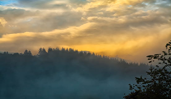 silhuet, træ, scene, bjerg, tåge, solnedgang, Skov, himmel, humør, sol, aften, natur, landskab, efterår, skumring, indstilling, Abendstimmung, tusmørke, hvile, smuk, tåget, solopgang, aftenhimmel, træer, plante, skønhed i naturen, sky - himmel, scenics - natur, ro, rolig scene, ingen mennesker, miljø, morgen, ikke-urbane scene, idyllisk, jord, udendørs, fyrretræ, 5K, CC0, offentligt domæne, royaltyfrie