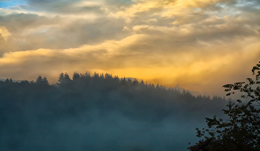 silhuet, træ, scene, bjerg, tåge, solnedgang, Skov, himmel, humør, sol, aften, natur, landskab, efterår, skumring, indstilling, Abendstimmung, tusmørke, hvile, smuk, tåget, solopgang, aftenhimmel, træer, plante, skønhed i naturen, sky - himmel, scenics - natur, ro, rolig scene, ingen mennesker, miljø, morgen, ikke-urbane scene, idyllisk, jord, udendørs, fyrretræ, 5K