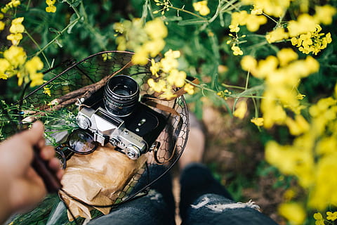 vintage, camera, field, blooming, rapes, Woman, summer, bloom, photography, photographer, hobby, rape, rapeseed, spring, zenit, passion, nature, outdoors, one Person, people, human hand, holding, human body part, adults only, adult, plant, hand, activity, camera - photographic equipment, leisure activity, technology, tree, equipment, land, men, selective focus, forest, 4K