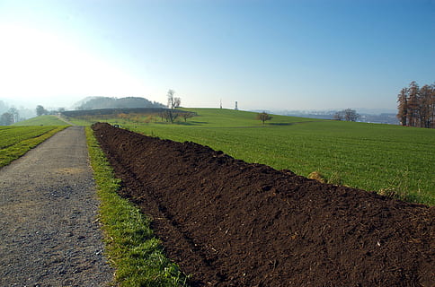 kompost, feldrand kompost, kompostování, feldrand kompostování, zemědělství, venkovské scény, pole, den, krajina, silnice, nebe, tráva, přistát, rostlina, Příroda, životní prostředí, klid, klidné scény, scenics - příroda, zelená barva, nikdo, krása v přírodě, čisté nebe, přeprava, venku, 2K, CC0, veřejná doména, bez autorských práv