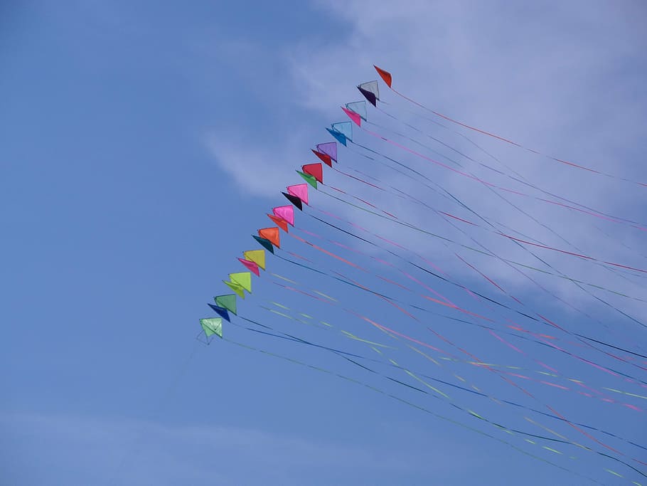 tid, aktivitet, glente, farver, himlen, blå, blå himmel, himmel, udendørs, underholdning, flyvende, multi farvet, natur, lav vinkel visning, dag, vind, ingen mennesker, sky - himmel, miljø, stor gruppe af objekter, i en række, flag, fest, frihed, kite-toy, bevægelse, valg, uafhængighed, 4K
