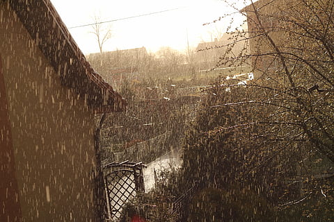 forår, regn, solen, træ, arkitektur, plante, bygget struktur, natur, ingen mennesker, bygning udvendig, himmel, dag, bare træ, væg, udendørs, bygning, hegn, murbygningsfunktion, grænse, vækst, barriere, rækværk, 4K, CC0, offentligt domæne, royaltyfrie