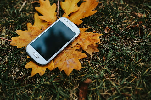 autumn, leaves, ground, Autumn leaves, yellow, mobile, smartphone, fall, brown, mobile Phone, outdoors, nature, technology, grass, smart Phone, telephone, wireless Technology, communication, no People, mobility, field, leaf, land, plant part, close-up, plant, connection, change, day, high angle view, portable information device, global communications, 5K