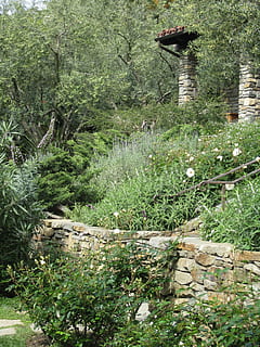 brick wall, garden, backyard, plant, tree, growth, nature, green color, day, built structure, no people, forest, architecture, land, grass, water, wood - material, outdoors, field, tranquility, beauty in nature, high angle view, 2K, CC0, public domain, royalty free