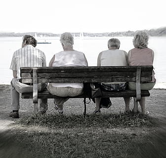 Bank, persönlich, Mensch, sich ausruhen, sitzen, klicken, Entspannen Sie Sich, Sitz, aus, brechen, warten, Freizeit, Stimmung, Atempause, See, Natur, Wasser, Urlaub, draußen, Männer, Menschen, Sitzung, älterer Erwachsener, Rückansicht, Meer, Land, Strand, Freizeitbeschäftigung, Erwachsene, echte Menschen, ältere Frauen, Gruppe von Leuten, Entspannung, Frau, Tag, Paar - Beziehung, 1080P, CC0, gemeinfrei, lizenzfrei