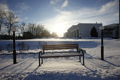 neige, page, effacer, hiver, température froide, la nature, structure construite, ciel, architecture, siège, banc, extérieur du bâtiment, congelé, lumière du soleil, couleur blanche, personne, absence, arbre, couvrant, nuage - ciel, beauté dans la nature, en plein air, conditions météorologiques extrêmes, banc de parc, montagne au sommet enneigé, 5K, CC0, domaine public, libre de droits