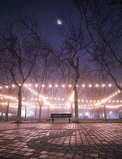 coklat, kayu, bangku, telanjang, pohon, lampu senar, tengah, taman, romantis, lampu, string light, bola lampu, bulan, malam, bersantai, berjalan, gang, jalan, langit malam, dingin, musim dingin, diterangi, pohon telanjang, langit, alam, peralatan penerangan, tidak ada orang, lampu jalan, menanam, senja, di luar rumah, Arsitektur, ketiadaan, kota, trotoar, batu paving, sinar bulan, 4K, CC0, domain publik, bebas royalti