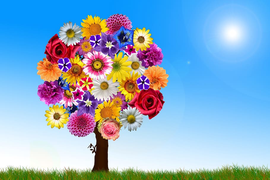 arbre de flors de colors assortits, durant el dia, fons de pantalla, flors, arbre, harmonia, harmoniosa, jardí, molts, bouquet, arranjament, compilació, collage, brillant, signes de la primavera, groc, primavera, planta amb flors, flor, planta, blau, naturalesa, cel, frescor, herba, cap de flor, bellesa a la natura, margarida, multicolor, camp, inflorescència, llum solar, plana, fragilitat, prat, arranjament floral, a l'aire lliure, flare de la lent, Ram de flors, 4K