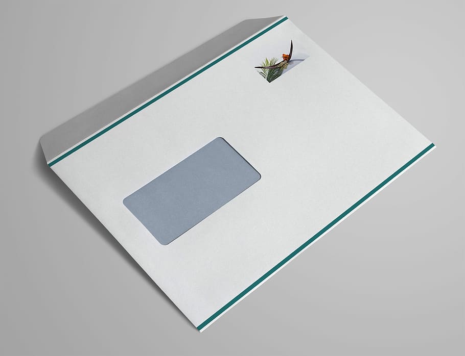 sobre de la finestra, c5, lletres, sobre, sortir, correu electrònic, segell, material d'oficina, publicació, enviar, comunicació, adreça, tir de l'estudi, cap gent, un animal, temes d'animals, primer pla, tecnologia, a l'interior, paper, fons blanc, còpia espai, natura morta, invertebrat, art i artesania, creativitat, gris, Color blanc, animal, insecte, forma geomètrica, forma, representació, taula, en blanc, 2K