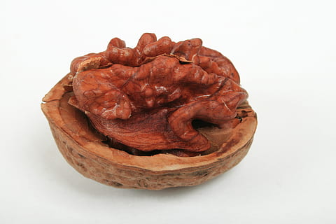 schließen, Fotografie, Nussbaum, Haselnuss, Nussschale, Essen und Trinken, Studioaufnahme, Lebensmittel, weißer Hintergrund, einzelnes Objekt, drinnen, Frische, Fleisch, Nahansicht, gesundes Essen, ausgeschnitten, Rohkost, Wohlbefinden, braun, keine Leute, Schweinefleisch, Stillleben, getrocknetes Essen, Eiweiß, verarbeitetes Fleisch, Snack, 4K, CC0, gemeinfrei, lizenzfrei