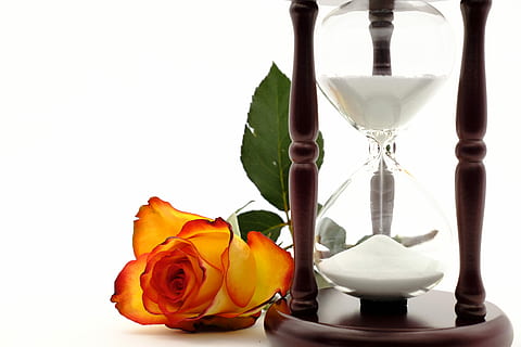 klar, timers glas, rød, petaled blomst, timeglas, æg timer, tid, vente, Rose, rose blomst, romantik, kærlighed, romantisk, blomstre, flor, skønhed i naturen, natur, blomst, plante, rosenblomst, sand, blomstrende plante, jord, ingen mennesker, deadline, indendørs, studio skud, skrøbelighed, hvid baggrund, tæt på, glas - materiale, blomsterhoved, buket, blomster arrangement, 5K, CC0, offentligt domæne, royaltyfrie