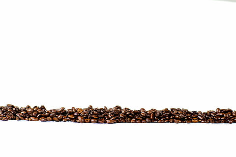 lot de gra de cafè, grans de cafè, java, cafè, espresso, marró, cafeïna, beure, torrat, cafeteria, cappuccino, aroma, al matí, esmorzar, mongetes, begudes, negre, fosc, rostit, latte, fons blanc, còpia espai, a l'interior, tir de l'estudi, cap gent, gra de cafè torrat, menjar i beguda, abundància, cafè - beguda, Munt, gran grup d'objectes, primer pla, tallar, menjar, frescor, naturalesa, natura morta, Color blanc, 5K, CC0, domini públic, lliure de regalies