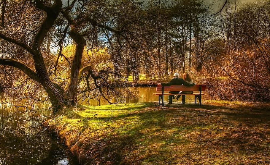 home, portar, Màniga llarga, samarreta, assegut, banc, arbres, braunschweig, primavera, vista, humor, parc, naturalesa, saxònia inferior, Alemanya, llac, Alemanya del nord, hivernacle terrestre, aigua, paisatge, núvols, cel, prat, arbre, branca, bosc, cap gent, dia, a l'aire lliure, herba, planta, creixement, tranquil·litat, terra, bellesa a la natura, tronc de l'arbre, tronc, seient, escena tranquil·la, arquitectura, estructura construïda, canvi, 1080P