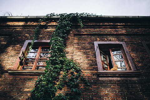 bricks buildings, Old, bricks, buildings, Lodz, Poland, outdoor, architecture, town, city, urban, building, building Exterior, architecture And Buildings, brick, built Structure, ancient, window, day, outdoors, plant, nature, no people, wall, brick wall, sky, low angle view, house, residential district, wall - building feature, growth, staircase, 5K