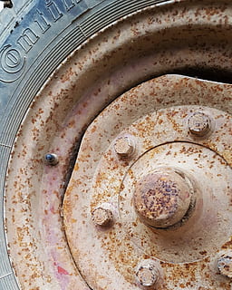 round, about, old, close, wheel, mature, roll, close-up, food and drink, no people, food, metal, still life, indoors, freshness, rusty, household equipment, high angle view, animal, ready-to-eat, plate, backgrounds, kitchen utensil, refreshment, pattern, white color, 2K, CC0, public domain, royalty free