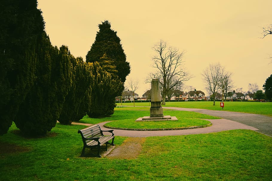 parc, arbres, banc, memorial, verd, herba, eastbourne, planta, arbre, color verd, cel, naturalesa, creixement, tranquil·litat, bellesa a la natura, cap gent, escena tranquil·la, parc - l'home va fer espai, seient, escenics - natura, sendera, a l'aire lliure, dia, camp, Banc del parc, cobertura, 4K