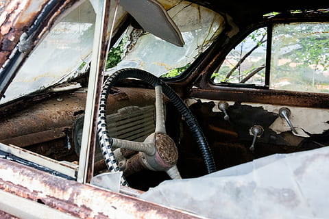 broken, car, destroyed, interior, old, poverty, rust, vehicle, wreck, mode of transportation, transportation, motor vehicle, land vehicle, glass - material, abandoned, no people, day, metal, window, outdoors, vehicle interior, damaged, obsolete, animal, nature, animal themes, run-down, transparent, 5K, CC0, public domain, royalty free