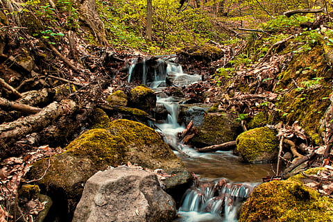 wiosna, strumien, woda, las, drzewa, Słowacja, Zielony, skały, kraj, Natura, Święty spokój, skała, rock - obiekt, solidny, Płynąca woda, piękno natury, scenics - natura, ruch, długa ekspozycja, wodospad, drzewo, niewyraźny ruch, płynący, wylądować, roślina, dzień, żadnych ludzi, strumień - płynąca woda, na dworze, moc w naturze, Spadająca woda, Las deszczowy, 5K, CC0, domena publiczna, darmowe zdjęcia