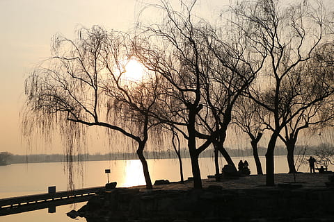apus, copac, lac, Beijing, decor, apus de soare, copac, siluetă, arbore gol, în aer liber, apă, cer, natură, plantă, frumusețe în natură, scenice - natura, liniște, o scenă liniștită, ramură, nici o persoana, idilic, reflecţie, 5K, CC0, domeniu public, fără drepturi de autor