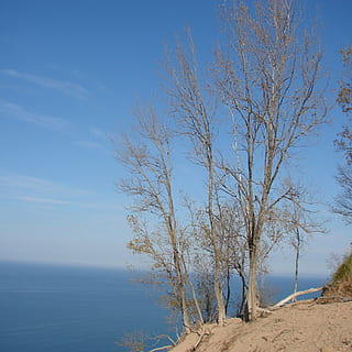 albero, spoglio, autunno, bellissimo, sabbia, acqua, Michigan, soggezione che ispira la natura, natura, blu, mare, cielo, paesaggio, Paesaggi, la tranquillità, pianta, terra, scena tranquilla, bellezza nella natura, scenics - natura, nessuno, albero nudo, ramo, giorno, scena non urbana, spiaggia, orizzonte, orizzonte sull'acqua, all'aperto, 1080P, CC0, dominio pubblico, privo di copyright