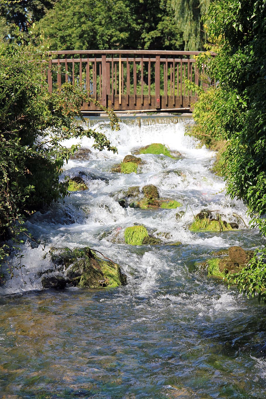 aigua, pont, web, riu, bach, cascada, llavi, lippspringe dolent, planta, aigua que flueix, arbre, moviment, bellesa a la natura, bosc, naturalesa, cap gent, que flueix, dia, rock, sòlid, connexió, esport, exposició llarga, pont - estructura feta per l'home, rierol: aigua que flueix, a l'aire lliure, passarel·la, poder a la natura, 5K