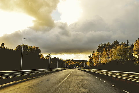 strada asfaltata, albero, d'oro, ora, autostrada senza pedaggio, corsia, messaggi, luci, modo, alberi, nuvole, cielo, recinto, acciaio, strada, sentiero, mezzi di trasporto, nuvola - cielo, la strada davanti, nessuno, all'aperto, giorno, natura, pianta, direzione, cartello, simbolo, veicolo a motore, auto, modo di trasporto, bellezza nella natura, autostrada, marcatura, prospettiva decrescente, infausto, 2K, CC0, dominio pubblico, privo di copyright