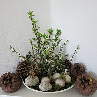 påskehilsen, påskeæg, æg, forår, påske, god påske, dekoration, sten, arrangement, mad og drikke, mad, plante, ingen mennesker, friskhed, indendørs, sund kost, murbygningsfunktion, velvære, stilleben, blad, grøntsag, natur, plante del, grøn farve, potteplante, urt, bord, dag, løg, 2K, CC0, offentligt domæne, royaltyfrie