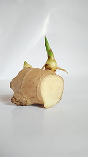 ingefær, spiring, ginger spire, studio skud, mad og drikke, hvid baggrund, mad, ingen mennesker, friskhed, indendørs, stilleben, sund kost, velvære, tæt på, enkelt objekt, frugt, skåret ud, pære, kopiere plads, grøntsag, høj vinkel visning, æble - frugt, manglende bid, snack, blomst, 4K, CC0, offentligt domæne, royaltyfrie