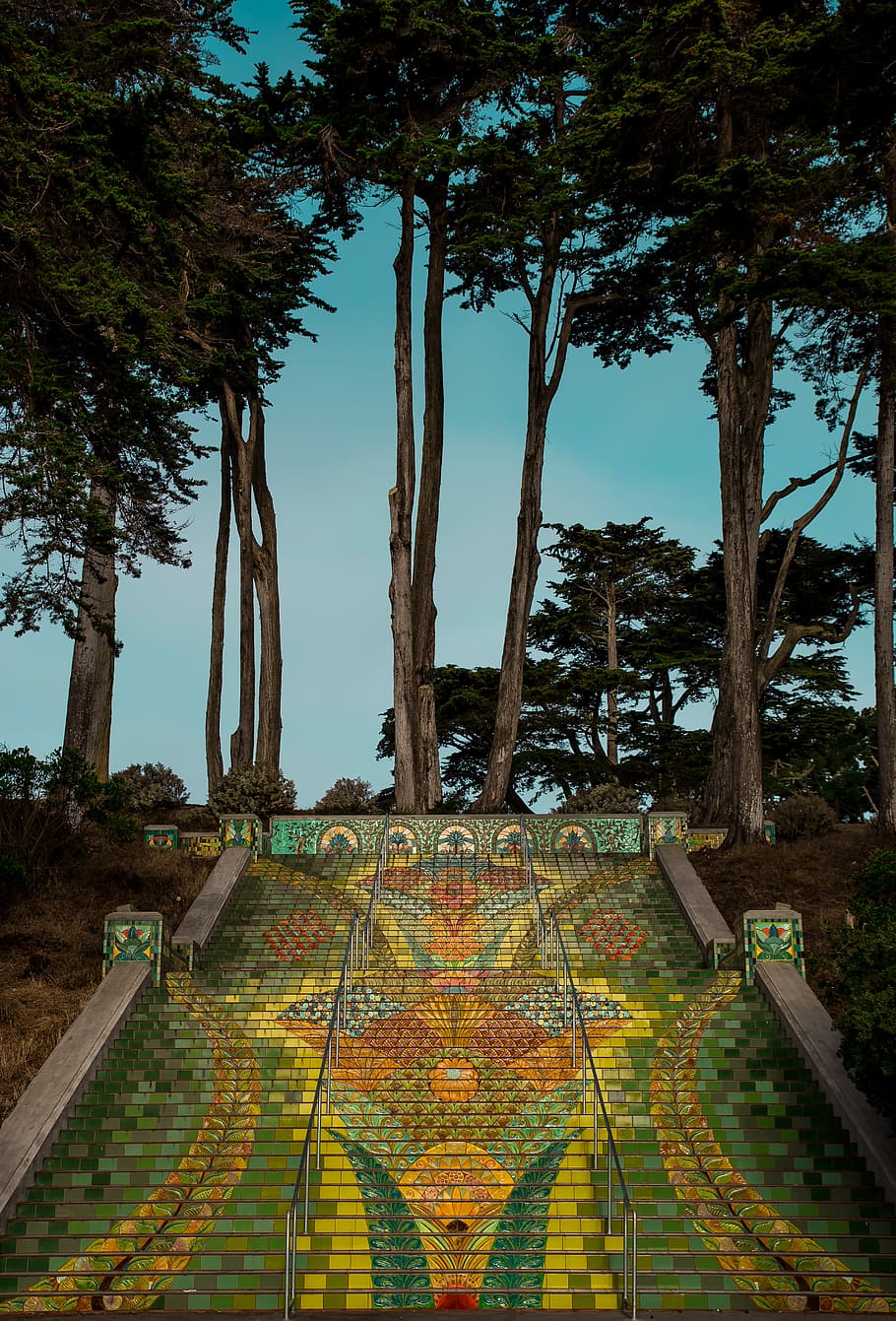 여러 가지 빛깔의, 계단, 녹색, 잎이 많은, 나무, 노랑, 콘크리트, 걸음, 미술, 타일, 하늘, 푸른, 가지, 경치, 집 밖의, 자연, 샌프란시스코, SF, 건축물, 색깔, 식물, 성장, 일, 아무도, 물, 평온, 자연의 아름다움, 옥외, 트렁크, 나무 줄기, 고요한 장면, 방향, 경치 - 자연, 나라, 보도, 공원, 5K