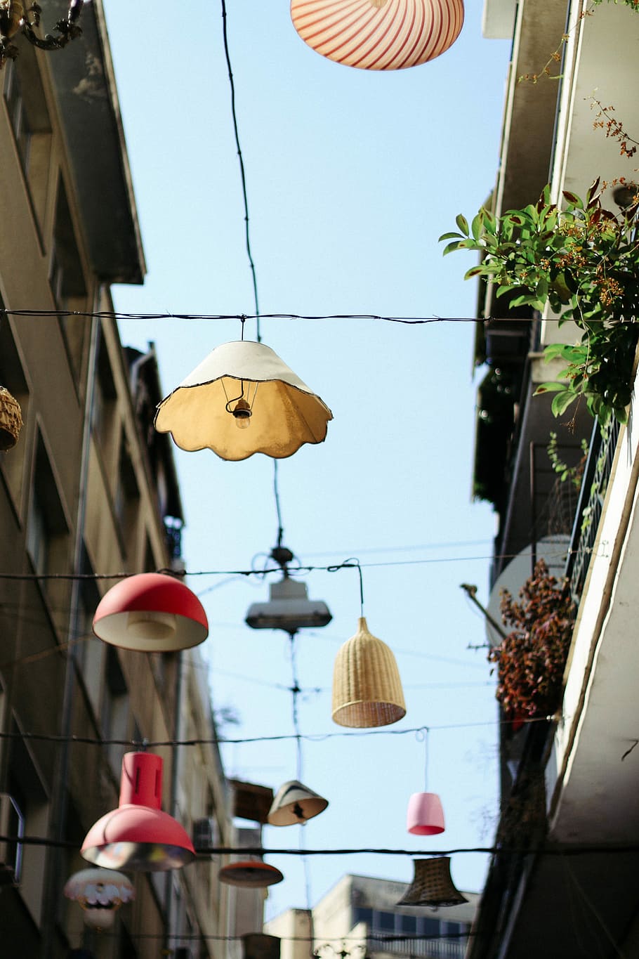 luz colgante surtida, ligero, lámpara eléctrica, linterna, arquitectura, escena urbana, colgando, día, nadie, estructura construida, vista de ángulo bajo, equipo de iluminación, decoración, exterior del edificio, naturaleza, electricidad, planta, edificio, centrarse en primer plano, al aire libre, Luz eléctrica, calle, techo, 5K