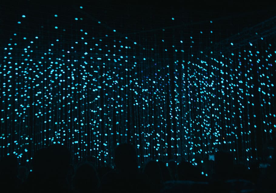 llum blava, penjant, verd, llums de corda, llums, blau, fosc, nit, llum, il·luminat, equips d’il·luminació, vida nocturna, diversió, grup de persones, discoteca, cultura i entreteniment artístic, multitud, llum - fenomen natural, esdeveniment, patró, decoració, brillant, persones reals, gent, celebració, unió, llums de disc, 5K