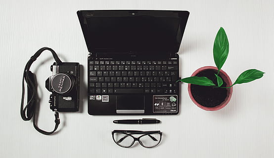 negru, laptop, lângă, verde, frunze, pateu, plantă, calculator, birou, Afaceri, muncă, tehnologie, Internet, lucru, tastatură, modern, corporativ, ecran, alb, masa, profesionist, comunicare, educaţie, conexiune, tehnologia fără fir, în interior, ochelari de vedere, direct deasupra, ochelari, natură moartă, nici o persoana, parte a plantelor, echipamente de calcul, culoare neagră, dispozitiv portabil de informații, tastatura, 4K, CC0, domeniu public, fără drepturi de autor