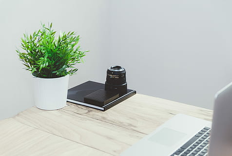 nero, moltiplicatore di focale, accanto, verde, foglia, in vaso, pianta, computer portatile d'argento, bianca, di legno, tavolo, foglia verde, pianta in vaso, argento, il computer portatile, tavolo di legno, in casa, moderno, scrivania, nessuno, ufficio, arredamento, mobilia, stanza domestica, attività commerciale, interno di casa, computer, caratteristica della parete, architettura, struttura costruita, giorno, esterno dell'edificio, tecnologia, natura, pianta della casa, comunicazione, tecnologia wireless, legno - materiale, crescita, cibo e bevande, 4K, CC0, dominio pubblico, privo di copyright