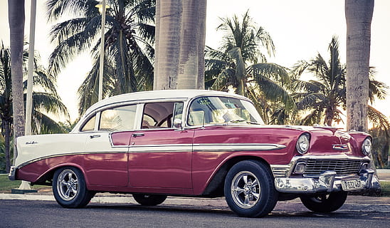 clàssic, blanc, marró, Sedan, palmeres, oldtimer, cuba, automàtic, Havana, automoció, vehicle, americà, vermell, velocímetre, retro, palmell, 50, nostàlgic, cotxe americà, arbre, manera de transport, cotxe, automòbil, transport, vehicle terrestre, clima tropical, Palmera, estil retro, dia, arquitectura, planta, cotxe d'època, ciutat, naturalesa, exterior de l'edifici, estructura construïda, a l'aire lliure, estacionari, luxe, 2K, CC0, domini públic, lliure de regalies