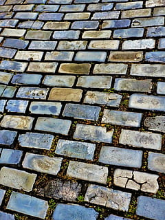 floor, bricks, grey bricks, texture, brick, material, pathway, walkway, surface, sidewalk, outdoor, footpath, backgrounds, full frame, pattern, textured, no people, street, repetition, high angle view, cobblestone, day, stone material, stone, outdoors, design, solid, paving stone, city, in a row, 1080P, CC0, public domain, royalty free