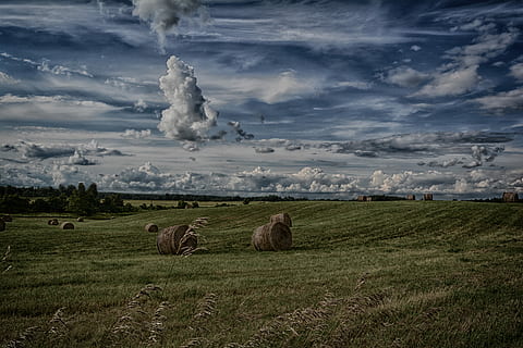 farm, beside, house, georgetown, ontario, canada, roll bales, green, grassfield, haystack, cloudscape, cloudy, overcast, filed, field, cloud - sky, landscape, environment, beauty in nature, sky, land, plant, agriculture, tranquil scene, grass, scenics - nature, nature, tranquility, bale, hay, rural scene, day, no people, outdoors, 5K, CC0, public domain, royalty free