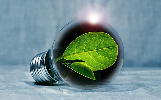 ilustración, bombilla, verde, hoja, clorofila, hoja verde, ligero, Pera, destellos, energía, revolución energética, generacion de energia, bombillas, experimentar, innovación, Amigable con el medio ambiente, electricidad, ambiente, Luz eléctrica, el ahorro de energía, parte de la planta, foto de estudio, nadie, naturaleza, adentro, color verde, copia espacio, metal, deporte, de cerca, estilo de vida saludable, solo objeto, planta, creatividad, comida y bebida, bienestar, destello de lente, alimentación saludable, de color negro, compuesto digital, vajilla, 2K, CC0, dominio público, libre de derechos