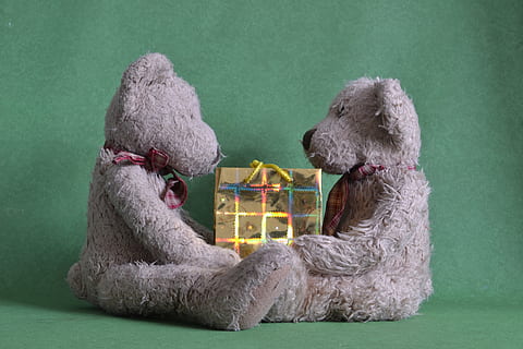 Due, grigio, orso, felpa, giocattoli, di fronte, presente, compartecipazione, pacchetto, regalo, Natale, compleanno, san valentino, scatola, sorpresa, dare, contento, relazione, occasione, celebrare, avvolto, celebrazione, anniversario, amicizia, grato, migliore, gradito, orsacchiotto, orsacchiotto di peluche, giocattolo, amore, riconoscimento, condivisione della gratitudine, adorabile, gratitudine, dando, coppia, paio, insieme, Gemelli, bambino, compagno, associazione, fidanzata, fidanzato, moglie, marito, matrimonio, carina, nessuno, avvicinamento, giorno, in casa, temi animali, mammifero, animale, canino, cane, animali domestici, domestico, un animale, barboncino, girato in studio, vertebrato, pupazzo di pezza, 4K, CC0, dominio pubblico, privo di copyright