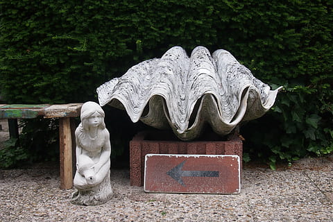 Immagine, grigio, parco, statua, arte e artigianato, scultura, rappresentazione, rappresentazione umana, creatività, nessuno, giorno, pianta, mestiere, somiglianza maschile, solido, albero, natura, credenza, intaglio - prodotto artigianale, religione, materiale lapideo, spiritualità, all'aperto, antico, angelo, 4K, CC0, dominio pubblico, privo di copyright
