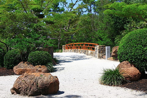 three, brown, stones, white, concrete, floor, path, bridge, tree, garden, japanese, florida, nature, rock, rock - object, no people, outdoors, day, plant, growth, green color, solid, built structure, architecture, formal garden, connection, beauty in nature, tranquility, park, ornamental garden, 720P, CC0, public domain, royalty free