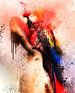 rød, blå, gul, macaw fugl maleri, fugl, fargerik, Ara, sprøyte, maleri, vannfarge, splatter, Kunst, tegning, bilde, effekt, photoshop, digitalt, innendørs, multi farget, nærbilde, ingen folk, vann, våt, maling, sprut, bevegelse, oransje farge, børste, stilleben, kunst og Håndverk, kreativitet, natur, skitt, pensel, glass - materiale, 2K, CC0, offentlig domene, opphavsrett gratis