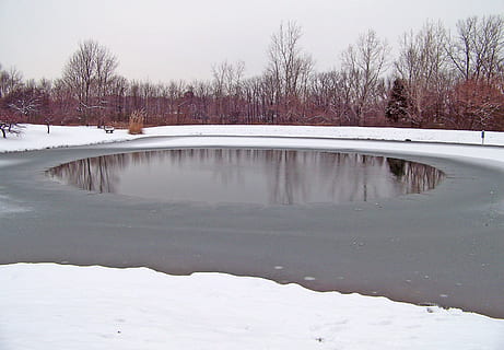gefroren, Teich, Winter, Eis, Schnee, Bäume, kalte Temperatur, Baum, Wasser, Natur, Pflanze, weiße Farbe, kahler Baum, Szenen - Natur, keine Leute, See, Tag, Schönheit in der Natur, Ruhe, Himmel, ruhige Szene, draußen, 2K, CC0, gemeinfrei, lizenzfrei