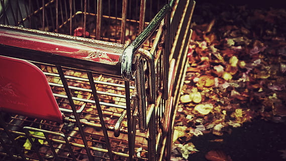 blur, foliage, outdoors, steel, cart, close-up, daylight, shopping cart, plant part, leaf, no people, day, nature, focus on foreground, metal, transportation, autumn, mode of transportation, land, land vehicle, change, abandoned, sunlight, car, seat, built structure, leaves, 4K, CC0, public domain, royalty free