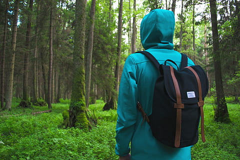 excursionista encapuchado, bosque, persona, en pie, frente, arboles, mochila, hombre, caminata, masculino, adulto, hierba, árbol, caminante, suéter, capucha, musgo, el maletero, naturaleza, verde, vista trasera, planta, tierra, una persona, excursionismo, ropa, exploración, color verde, día, actividad de ocio, hombres, bolso, al aire libre, capucha - ropa, mirando a la vista, 4K, CC0, dominio público, libre de derechos
