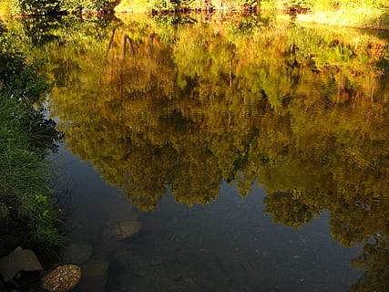 riu, destacats, aigua, arbres, reflexió, arbre, llac, planta, tranquil·litat, bellesa a la natura, naturalesa, cap gent, tardor, escena tranquil·la, davant del mar, dia, canvi, escenics - natura, creixement, vista d’angle alt, a l'aire lliure, bosc, 2K, CC0, domini públic, lliure de regalies
